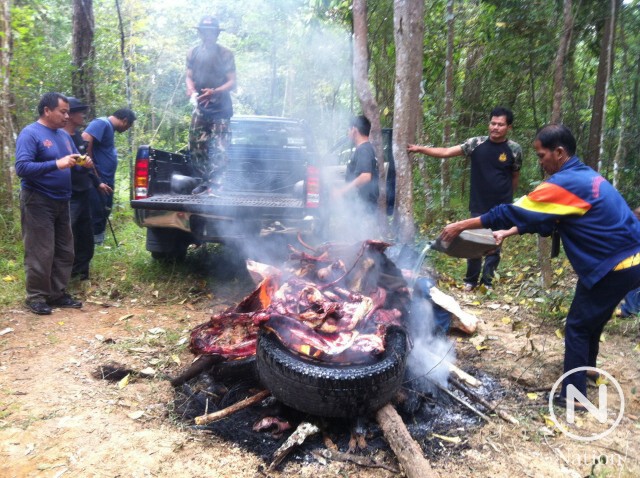 เส้นทางค้าเนื้อสัตว์ป่าภูเขียว สู่...จานนักเปิบพิสดาร