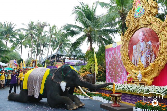 สวนนงนุชพัทยา จัดงานวันพ่อ “5 ธันวา 88 พรรษา เทิดไท้องค์ราชันย์”