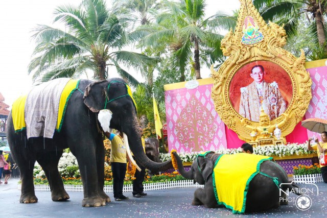 สวนนงนุชพัทยา จัดงานวันพ่อ “5 ธันวา 88 พรรษา เทิดไท้องค์ราชันย์”