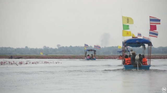 วันหยุดยาวนักท่องเที่ยว แห่ชมความงามทะเลบัวแดง