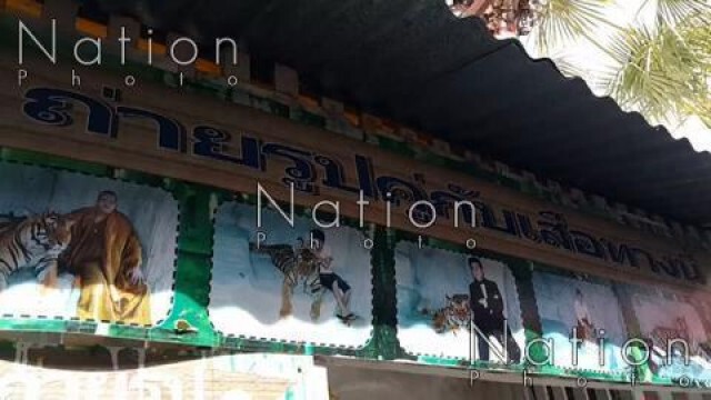 เสือโคร่งตลาดน้ำอโยเดีย ตะปบเด็กหญิง 4 ขวบบาดเจ็บ