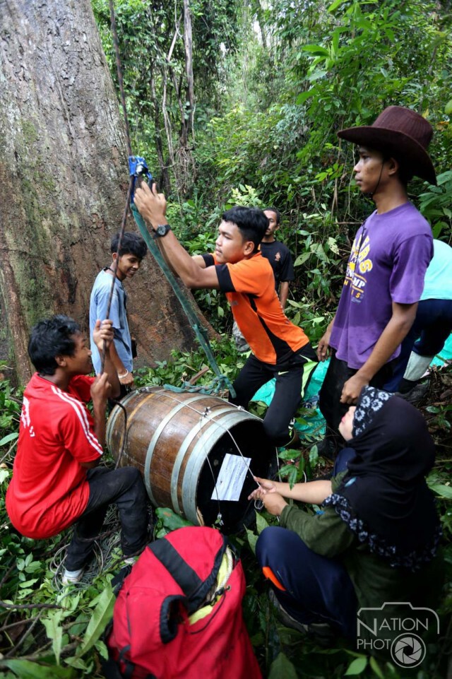 เด็กไทยมุสลิมกว่า 20 คน ร่วมติดตั้ง "โพรงเทียม" ให้นกเงือก