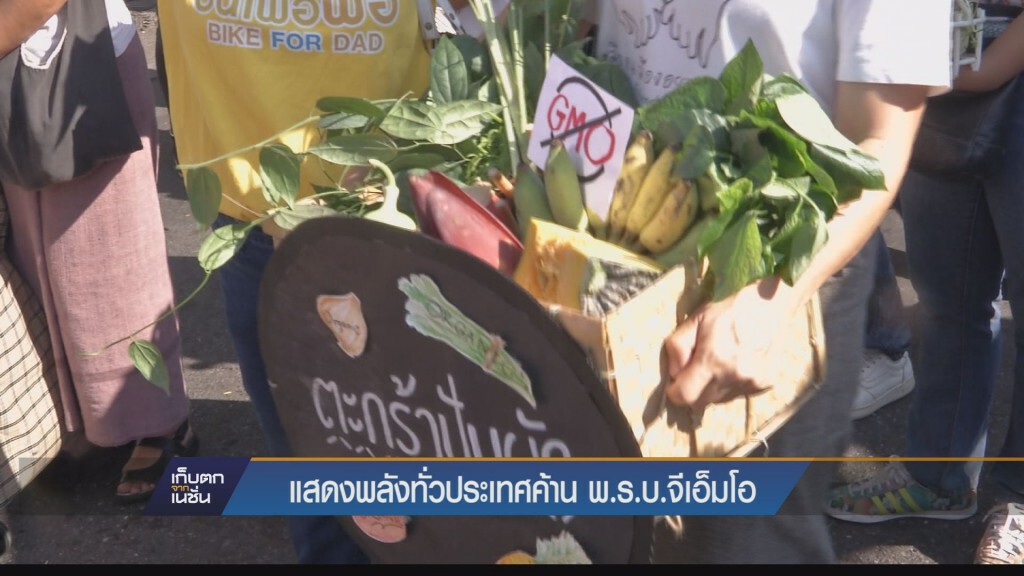 เก็บตกค่ำ - แสดงพลังค้าน พรบ.จีเอ็มโอ