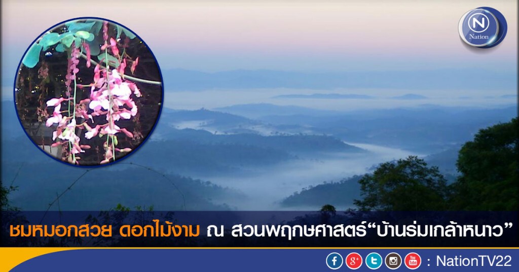 ชมหมอกสวย ดอกไม้งาม ณ สวนพฤกษศาสตร์"บ้านร่มเกล้าหนาว"