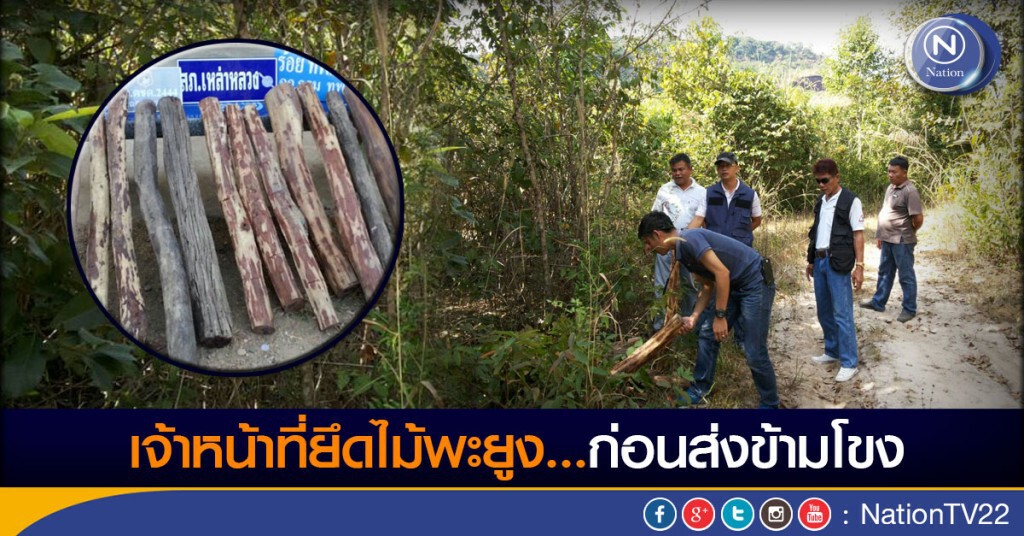 ยึดไม้พะยูงก่อนส่งข้ามโขง