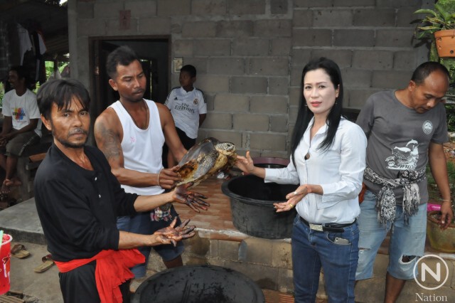 พิษคราบน้ำมัน! กระทบเต่าตนุขาดอากาศหายใจ
