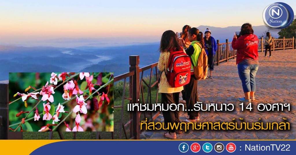 แห่ชมหมอก...รับหนาว 14 องศาฯที่สวนพฤกษศาสตร์บ้านร่มเกล้า