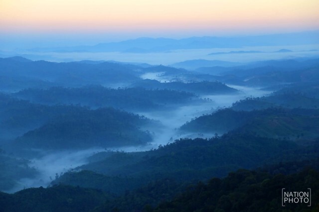 แห่ชมหมอก...รับหนาว 14 องศาฯที่สวนพฤกษศาสตร์บ้านร่มเกล้า
