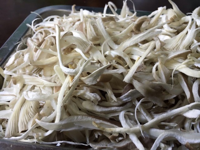 Cooking is Fun : เห็ดสวรรค์ กินกับข้าวหรือกินเล่นๆก็อร่อย