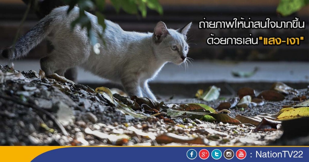 ถ่ายภาพให้น่าสนใจมากขึ้น ด้วยการเล่น"แสง-เงา" ถ่ายภาพให้น่าสนใจมากขึ้น ด้วยการเล่น"แสง-เงา"