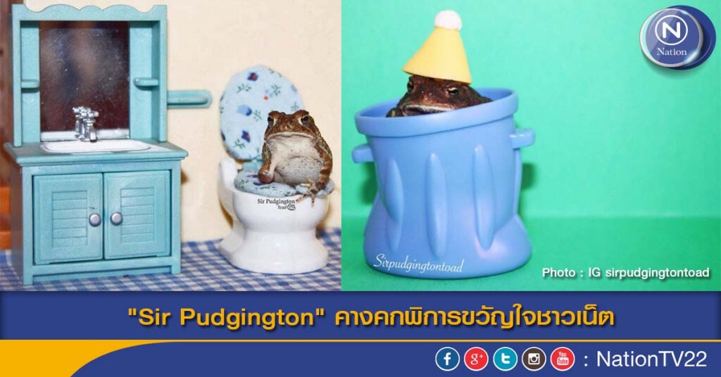 "Sir Pudgington" คางคกพิการ ขวัญใจชาวเน็ต