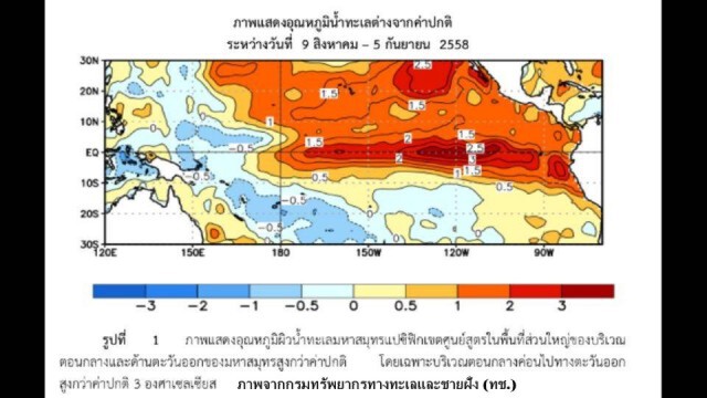 ห่วงปะการังอ่าวไทย "ฟอกขาว" เจอเอลนิโญ่รุนแรงปีหน้า