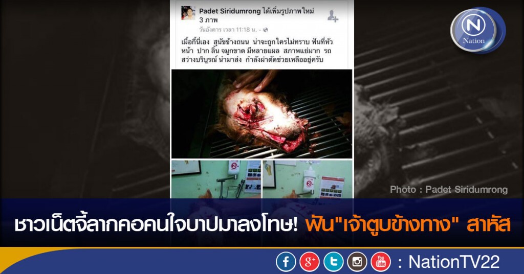 ชาวเน็ตจี้ลากคอคนใจบาปมาลงโทษ! ฟัน"เจ้าตูบข้างทาง" สาหัส ชาวเน็ตจี้ลากคอคนใจบาปมาลงโทษ! ฟัน"เจ้าตูบข้างทาง" สาหัส