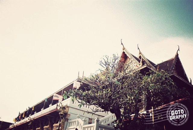 Gotography : ลาดกระบัง ธรรมชาติและวิถีชีวิตชุมชนหัวตะเข้