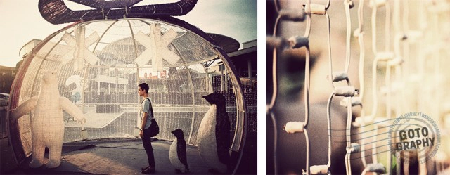 Gotography : ลาดกระบัง ธรรมชาติและวิถีชีวิตชุมชนหัวตะเข้