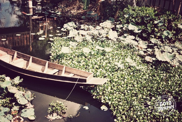 Gotography : ลาดกระบัง ธรรมชาติและวิถีชีวิตชุมชนหัวตะเข้