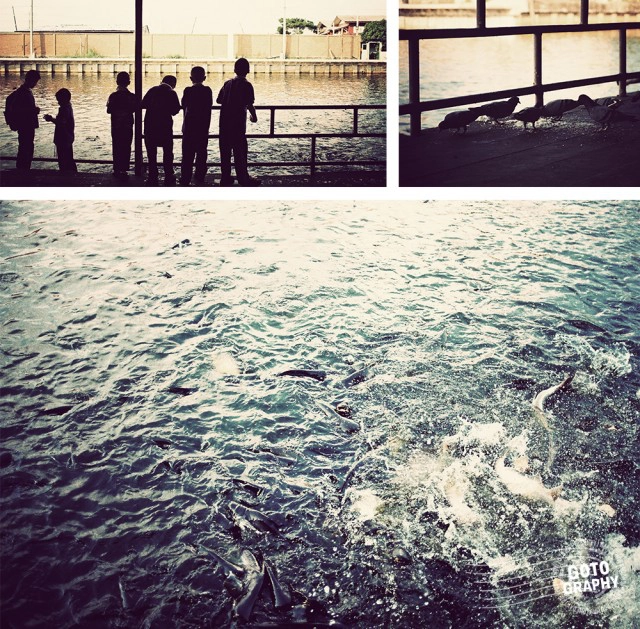 Gotography : ลาดกระบัง ธรรมชาติและวิถีชีวิตชุมชนหัวตะเข้