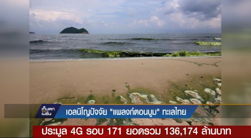 เอลนิโญ่ปัจจัยแพลงก์ตอนบูมทะเลไทย เอลนิโญ่ปัจจัยแพลงก์ตอนบูมทะเลไทย