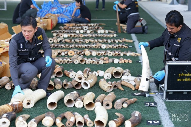 กรมศุลฯ ยึด"งาช้าง-เกล็ดลิ่น"คาด่านเกาะสมุย