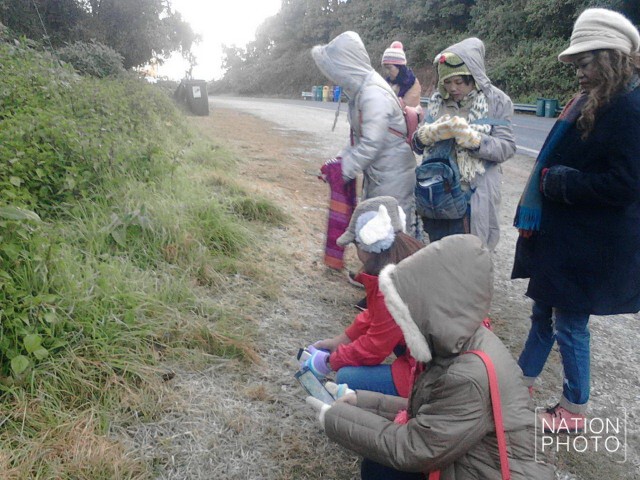 ดอยอินทนนท์หนาวจัด นักท่องเที่ยวแห่ชม"เหมยขาบ"