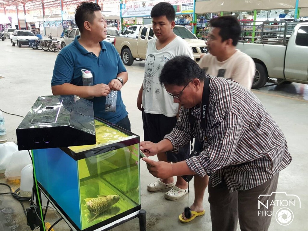 พบปลาประหลาดมีครึ่งตัว เลี้ยงรอดกว่าครึ่งปี เจ้าของตั้งชื่อ“เจ้าบุญครึ่ง” พบปลาประหลาดมีครึ่งตัว เลี้ยงรอดกว่าครึ่งปี เจ้าของตั้งชื่อ“เจ้าบุญครึ่ง”