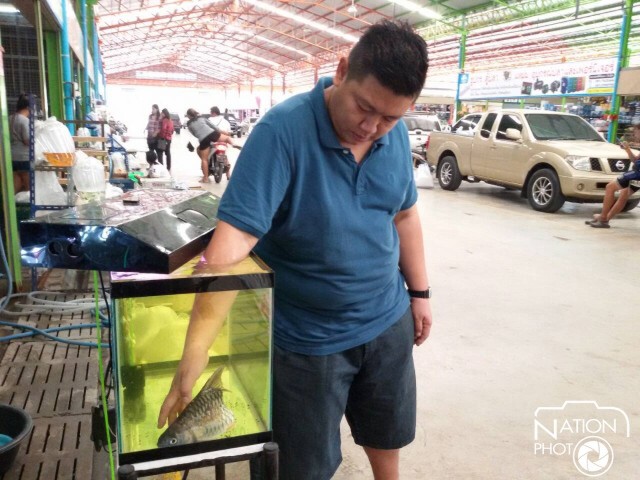 พบปลาประหลาดมีครึ่งตัว เลี้ยงรอดกว่าครึ่งปี เจ้าของตั้งชื่อ“เจ้าบุญครึ่ง”