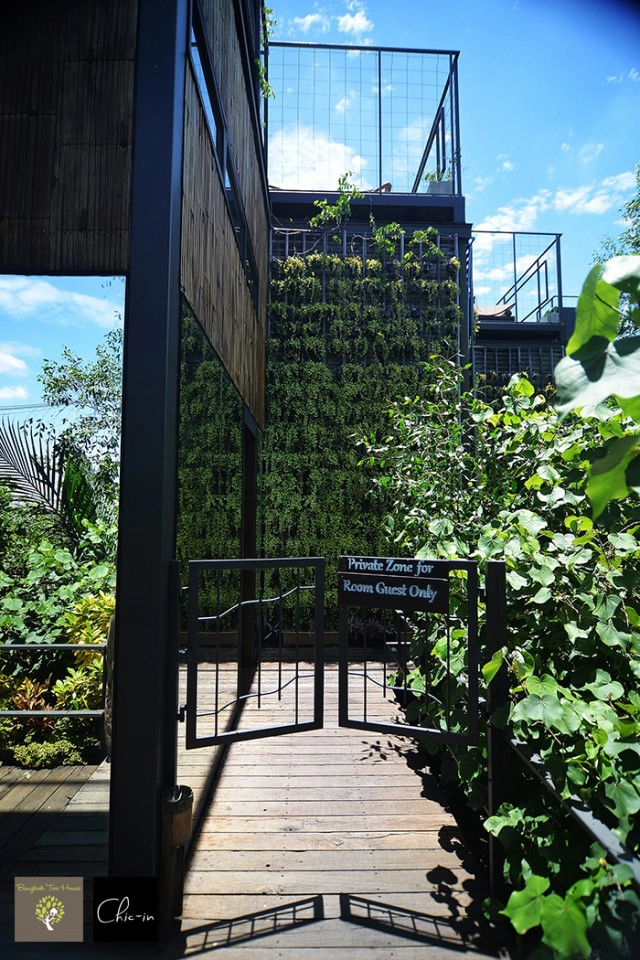 Chic-in : Bangkok Tree House (บางกอก ทรีเฮ้าส์) บางน้ำผึ้ง สมุทรปราการ