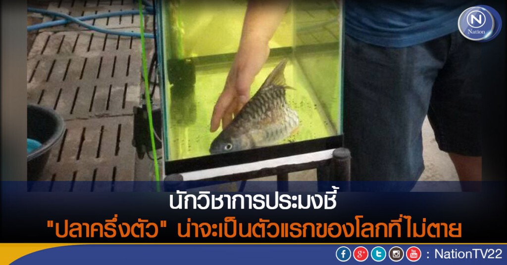 นักวิชาการประมงชี้"ปลาครึ่งตัว" น่าจะเป็นตัวแรกของโลกที่ไม่ตาย