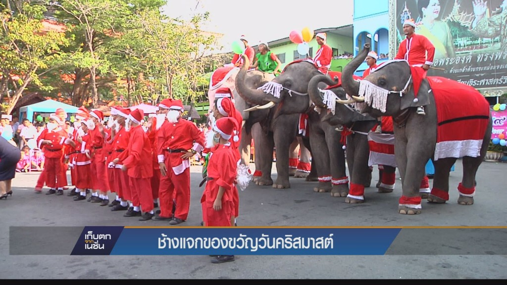ช้างแจกของขวัญวันคริสมาสต์