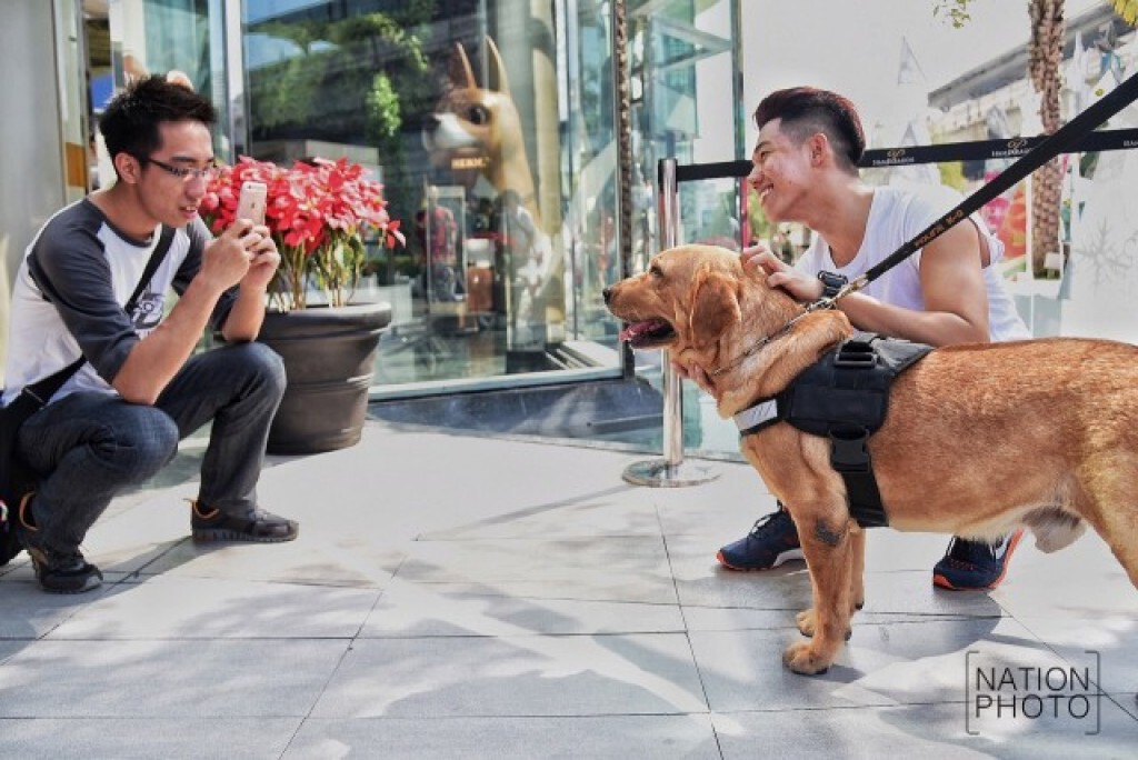 ชื่นชมพลสุนัขตำรวจ (สี่ขา) K-9 ขอเซลฟี่เพียบ ชื่นชมพลสุนัขตำรวจ (สี่ขา) K-9 ขอเซลฟี่เพียบ