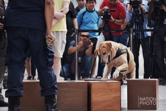 ชื่นชมพลสุนัขตำรวจ (สี่ขา) K-9 ขอเซลฟี่เพียบ