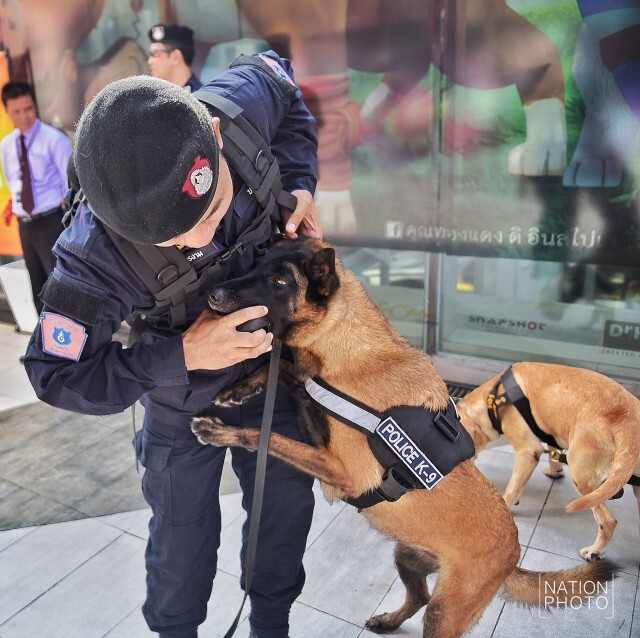 ชื่นชมพลสุนัขตำรวจ (สี่ขา) K-9 ขอเซลฟี่เพียบ
