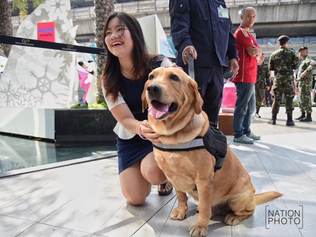 ชื่นชมพลสุนัขตำรวจ (สี่ขา) K-9 ขอเซลฟี่เพียบ