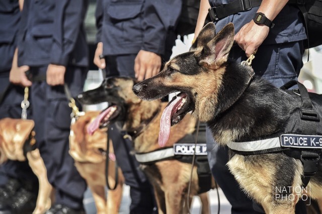ชื่นชมพลสุนัขตำรวจ (สี่ขา) K-9 ขอเซลฟี่เพียบ
