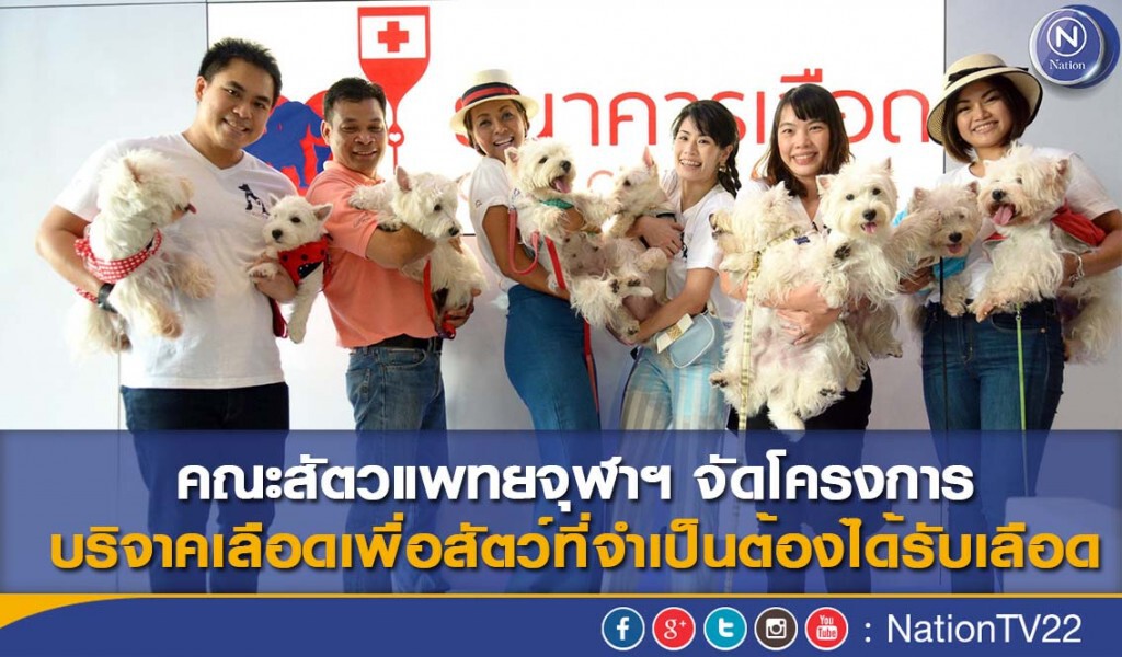 คณะสัตวแพทยจุฬาฯ จัดโครงการบริจาคเลือดเพื่อสัตว์ที่จำเป็นต้องได้รับเลือด คณะสัตวแพทยจุฬาฯ จัดโครงการบริจาคเลือดเพื่อสัตว์ที่จำเป็นต้องได้รับเลือด