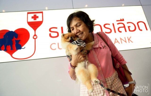 คณะสัตวแพทยจุฬาฯ จัดโครงการบริจาคเลือดเพื่อสัตว์ที่จำเป็นต้องได้รับเลือด