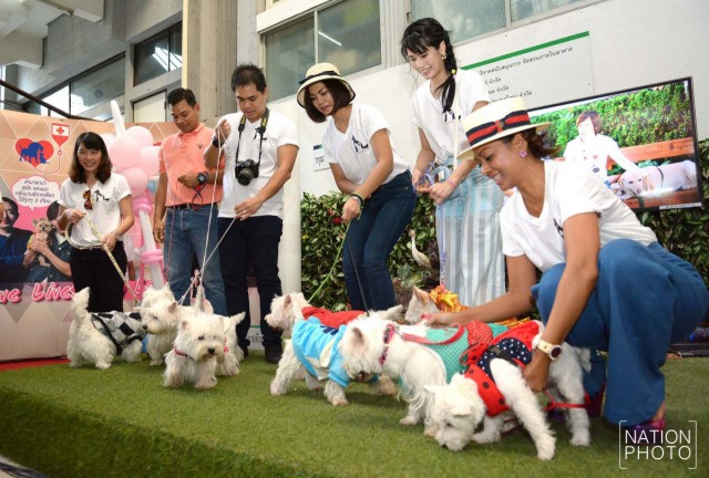 คณะสัตวแพทยจุฬาฯ จัดโครงการบริจาคเลือดเพื่อสัตว์ที่จำเป็นต้องได้รับเลือด
