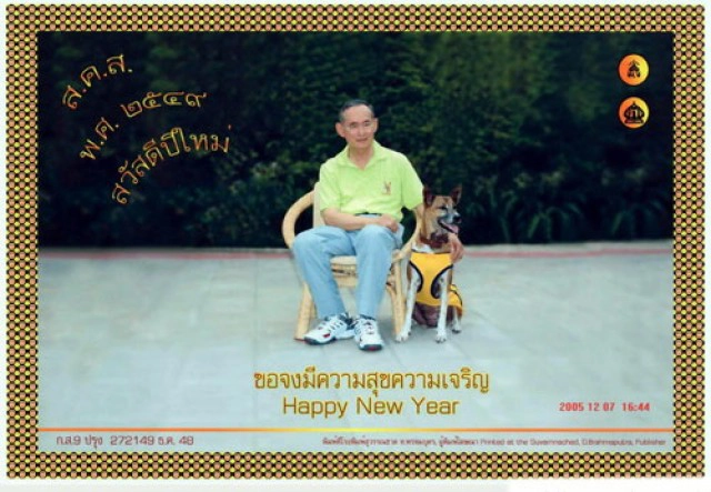 "คุณทองแดง" จาก "สุนัขกลางถนน" สู่ "สุนัขประจำรัชกาล"