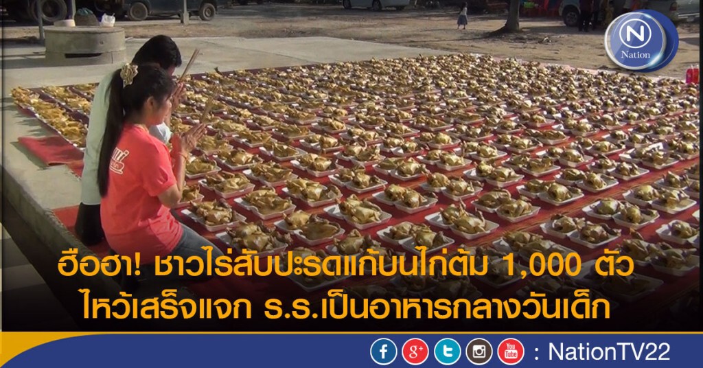 ฮือฮา! ชาวไร่สับปะรดแก้บนไก่ต้ม1,000 ตัว ไหว้เสร็จแจก ร.ร.เป็นอาหารกลางวันเด็ก