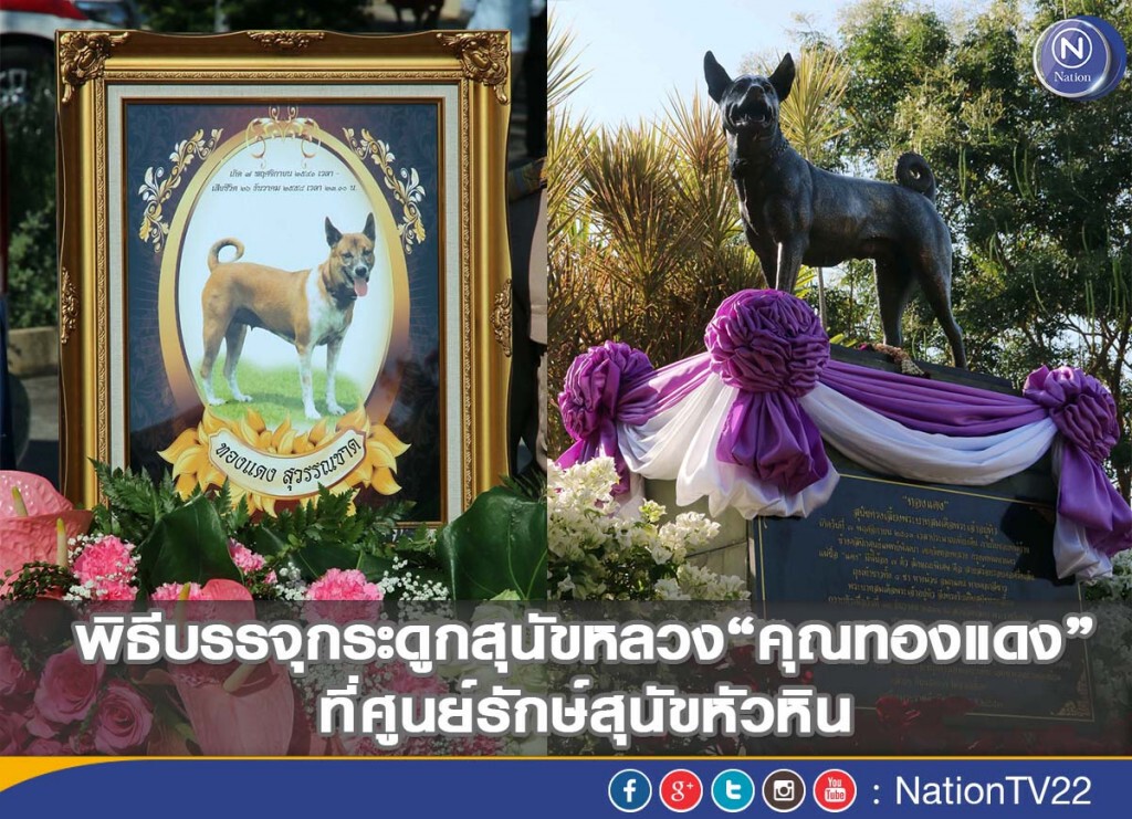 ภาพชุด พิธีบรรจุกระดูกสุนัขหลวงคุณทองแดง ที่ศูนย์รักษ์สุนัขหัวหิน ภาพชุด พิธีบรรจุกระดูกสุนัขหลวงคุณทองแดง ที่ศูนย์รักษ์สุนัขหัวหิน