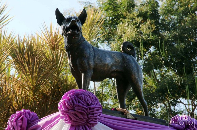 ภาพชุด พิธีบรรจุกระดูกสุนัขหลวงคุณทองแดง ที่ศูนย์รักษ์สุนัขหัวหิน