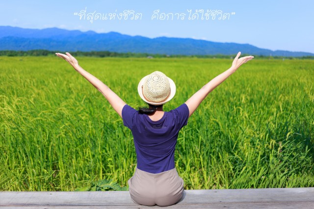 Lifestyle 2 Lifeter :  เขียนชีวิต .... ด้วยเส้นแสง