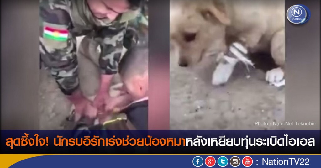 สุดซึ้งใจ! นักรบอิรักเร่งช่วยน้องหมาหลังเหยียบทุ่นระเบิดไอเอส
