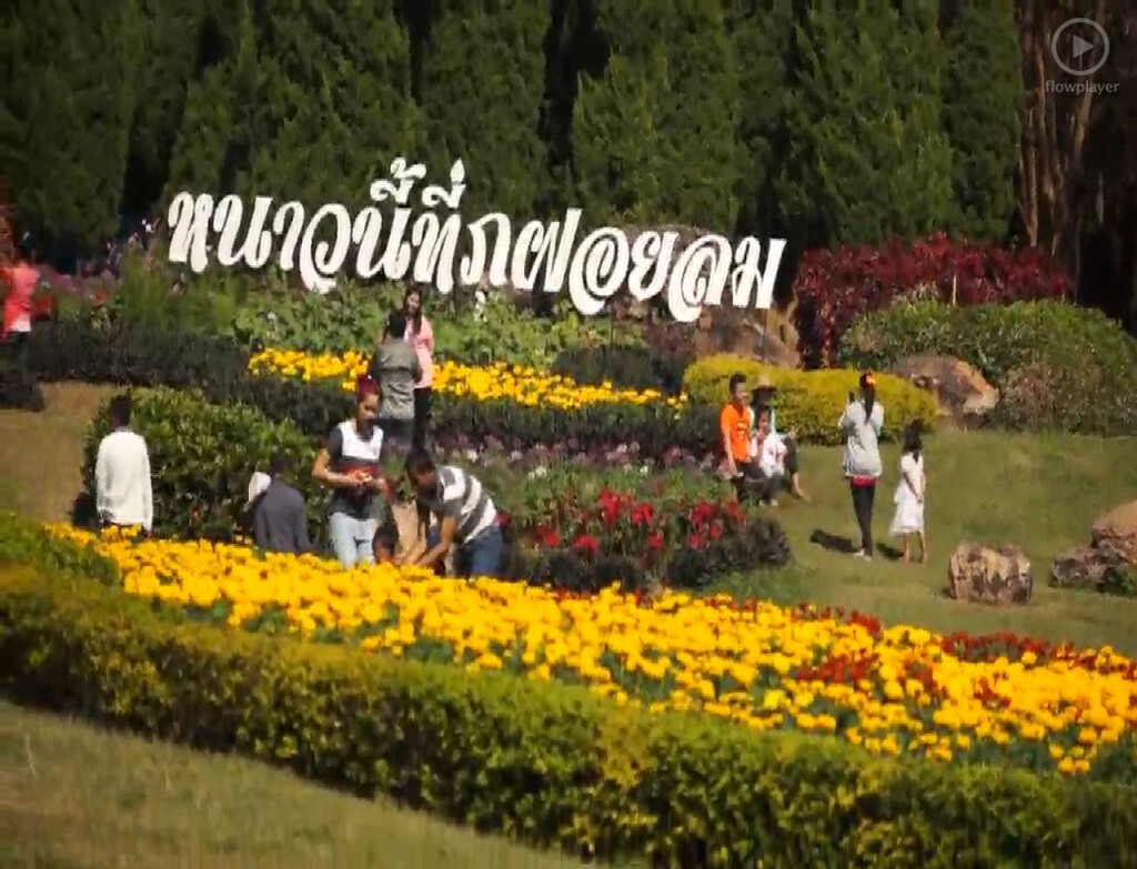 นักท่องเที่ยว แห่สัมผัสลมหนาว ที่ภูฝอยลม ช่วงเทศกาลปีใหม่ นักท่องเที่ยว แห่สัมผัสลมหนาว ที่ภูฝอยลม ช่วงเทศกาลปีใหม่