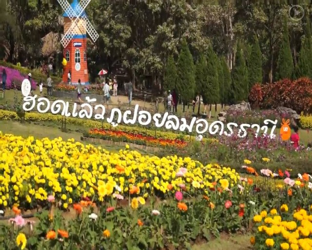 นักท่องเที่ยว แห่สัมผัสลมหนาว ที่ภูฝอยลม ช่วงเทศกาลปีใหม่