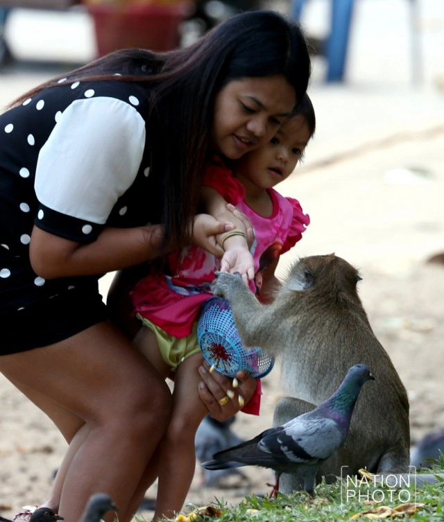 ต้อนรับปีลิง เปิดศักราชใหม่ 2559  "ปีของลิง"