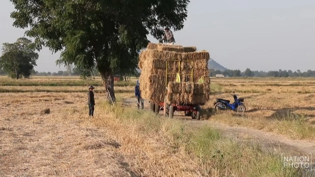 อาชีพอัดฟางขายมาแรง! สร้างรายได้งามช่วงหน้าแล้ง