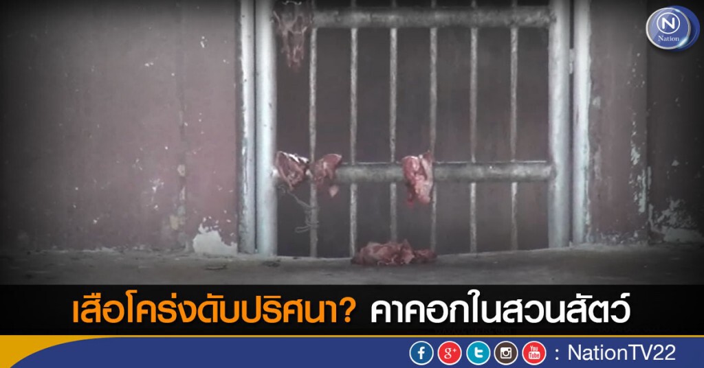 เสือโคร่งดับปริศนา? คาคอกในสวนสัตว์ เตรียมส่ง จนท.ตรวจสอบ เสือโคร่งดับปริศนา? คาคอกในสวนสัตว์ เตรียมส่ง จนท.ตรวจสอบ