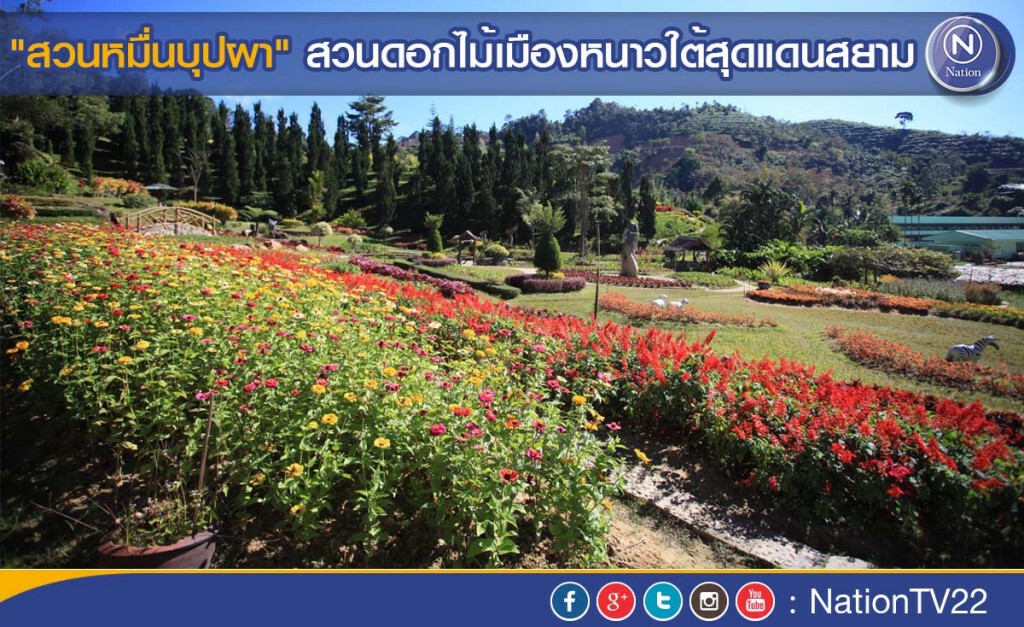 สวนหมื่นบุปผา" สวนดอกไม้เมืองหนาวใต้สุดแดนสยาม