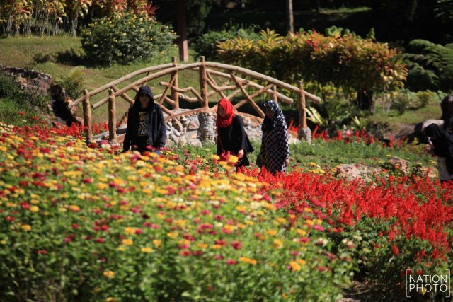 สวนหมื่นบุปผา" สวนดอกไม้เมืองหนาวใต้สุดแดนสยาม